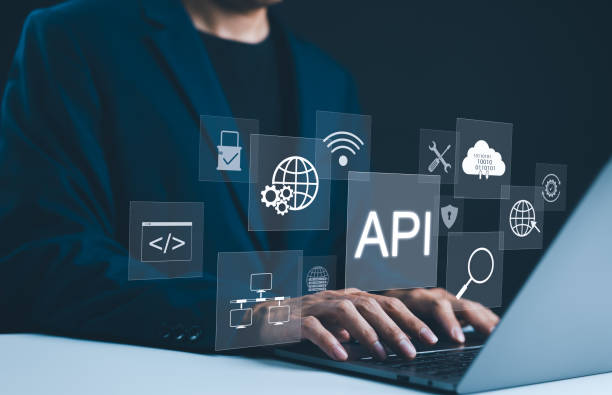 Application Developer